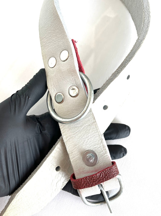 Каишка за голямо куче