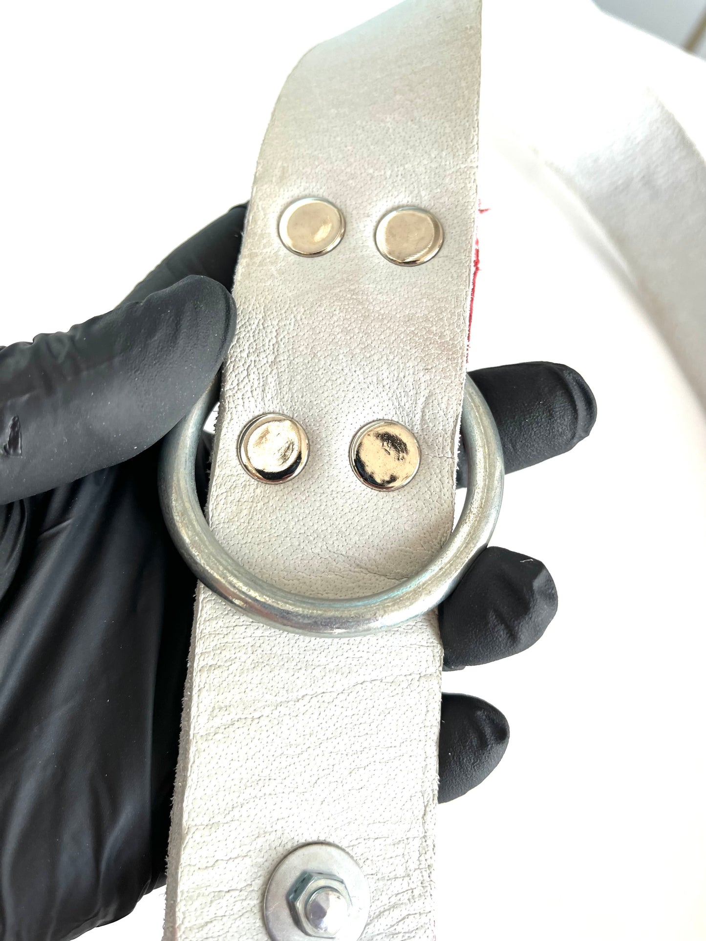 Каишка за голямо куче