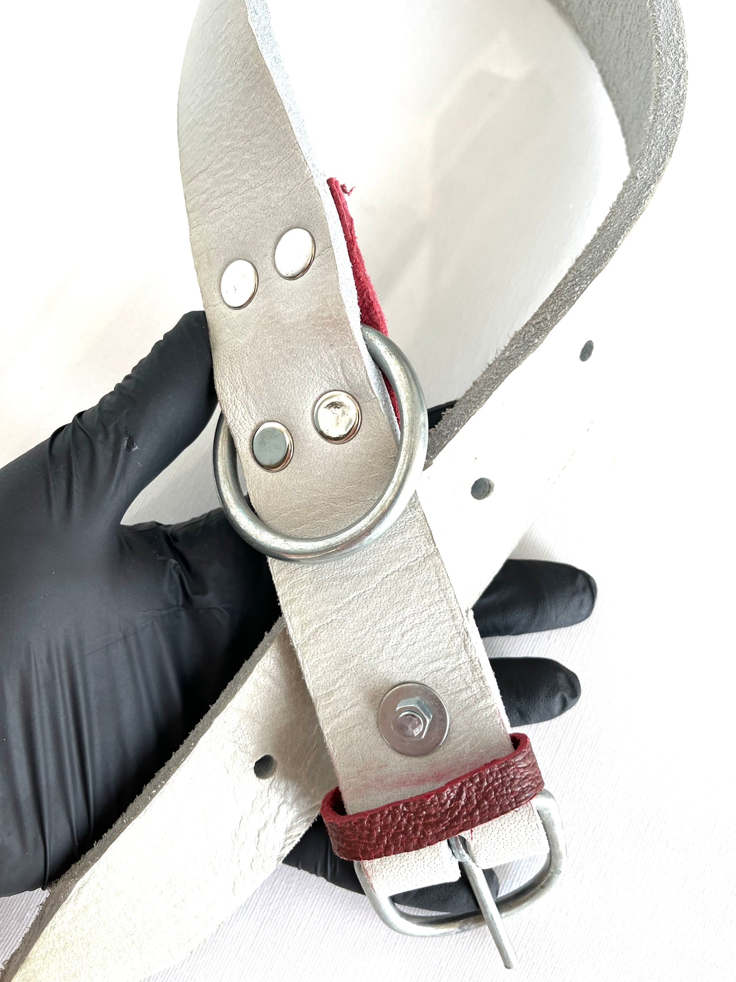 Каишка за голямо куче