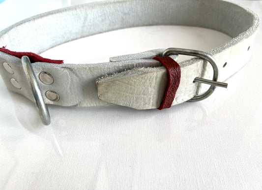 Каишка за голямо куче